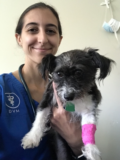 Jessica DeMicco, DVM